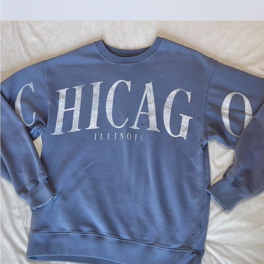 Hollister Blue Chicago Print Women's Sweater